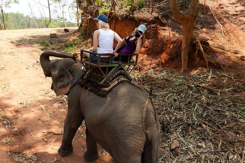 Thailand, Chiang Mai