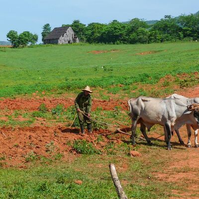 Kuba, Valle de Viñales