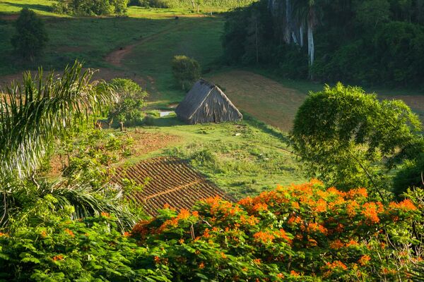 Kuba, Valle de Viñales
