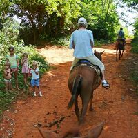 Kuba, Valle de Viñales