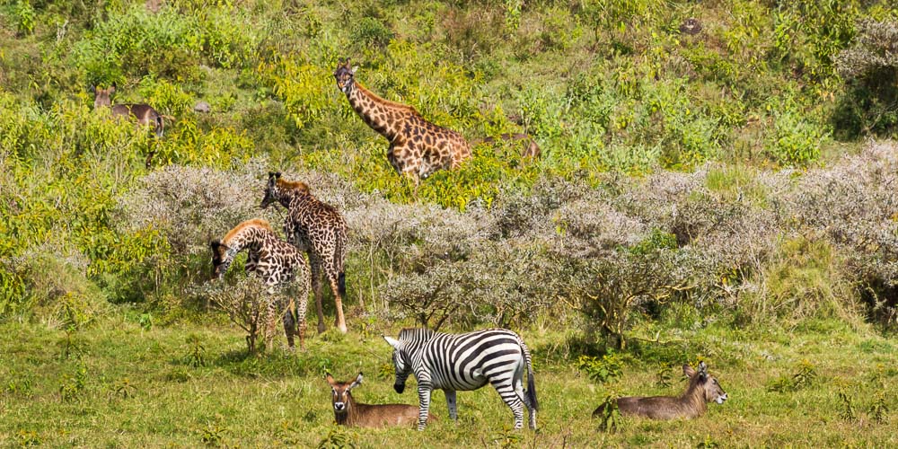Tansania, Arusha National Park